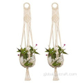 Cotton Plant Holder wall mount plant hanger Factory